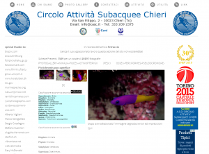 Circolo Attività subacquee Chieri